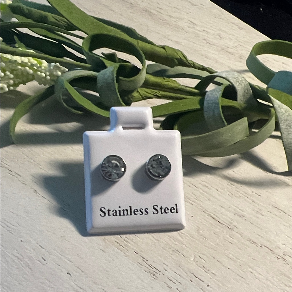 Stainless Steel Silver Studs